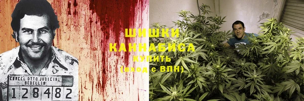 молекула духа Аркадак