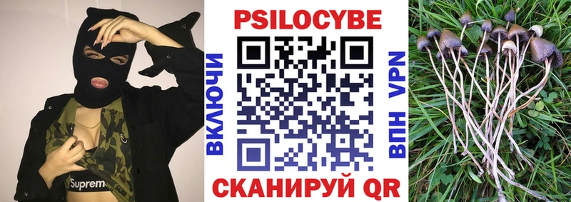кракен ТОР Талица Галлюциногенные грибы мицелий